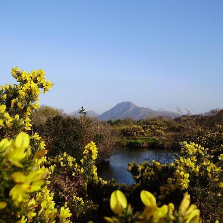 Cloverfox Connemara 莱特弗拉克 外观 照片